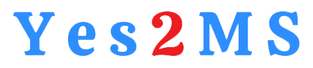 Yes2MS Logo